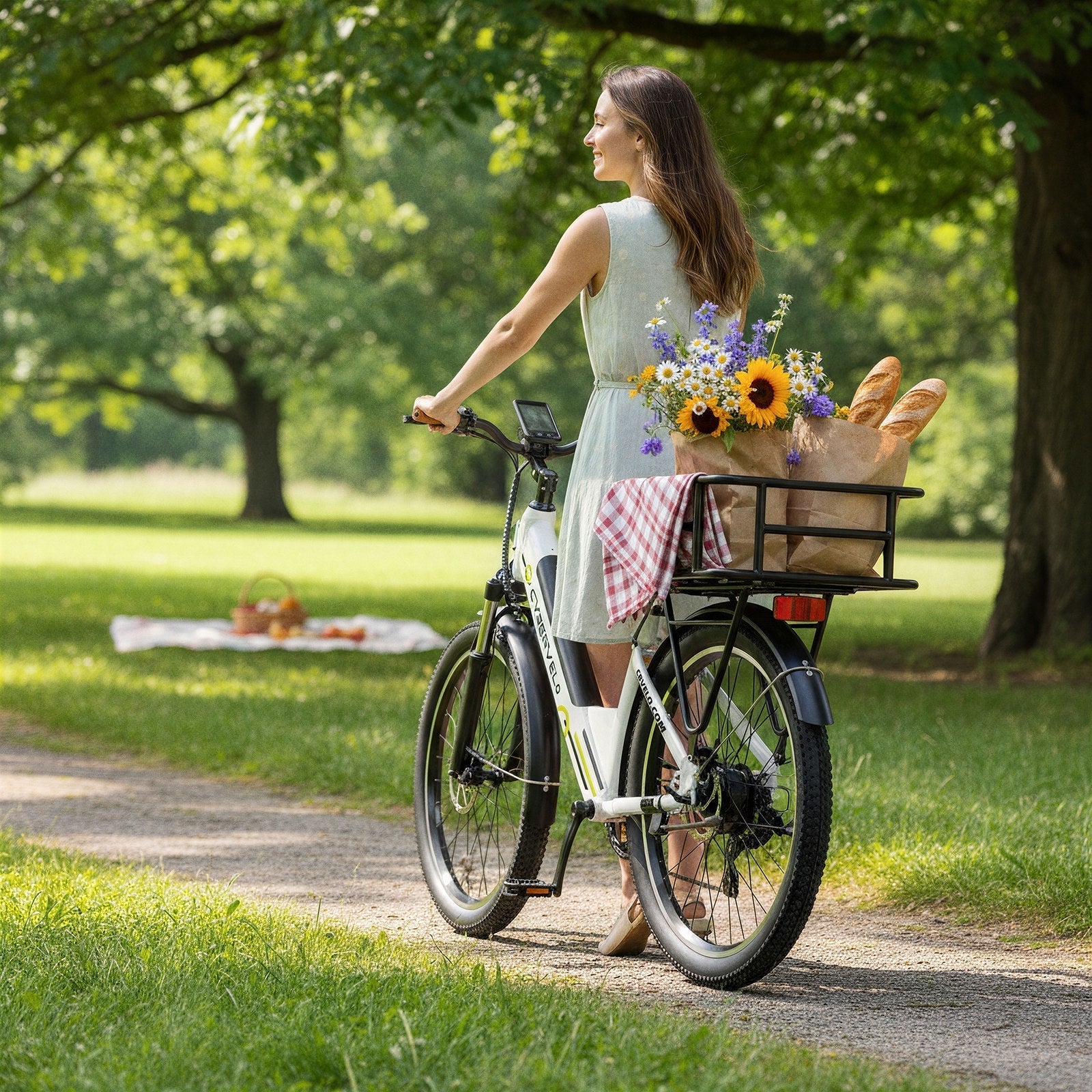 E BIKE Rear Basket