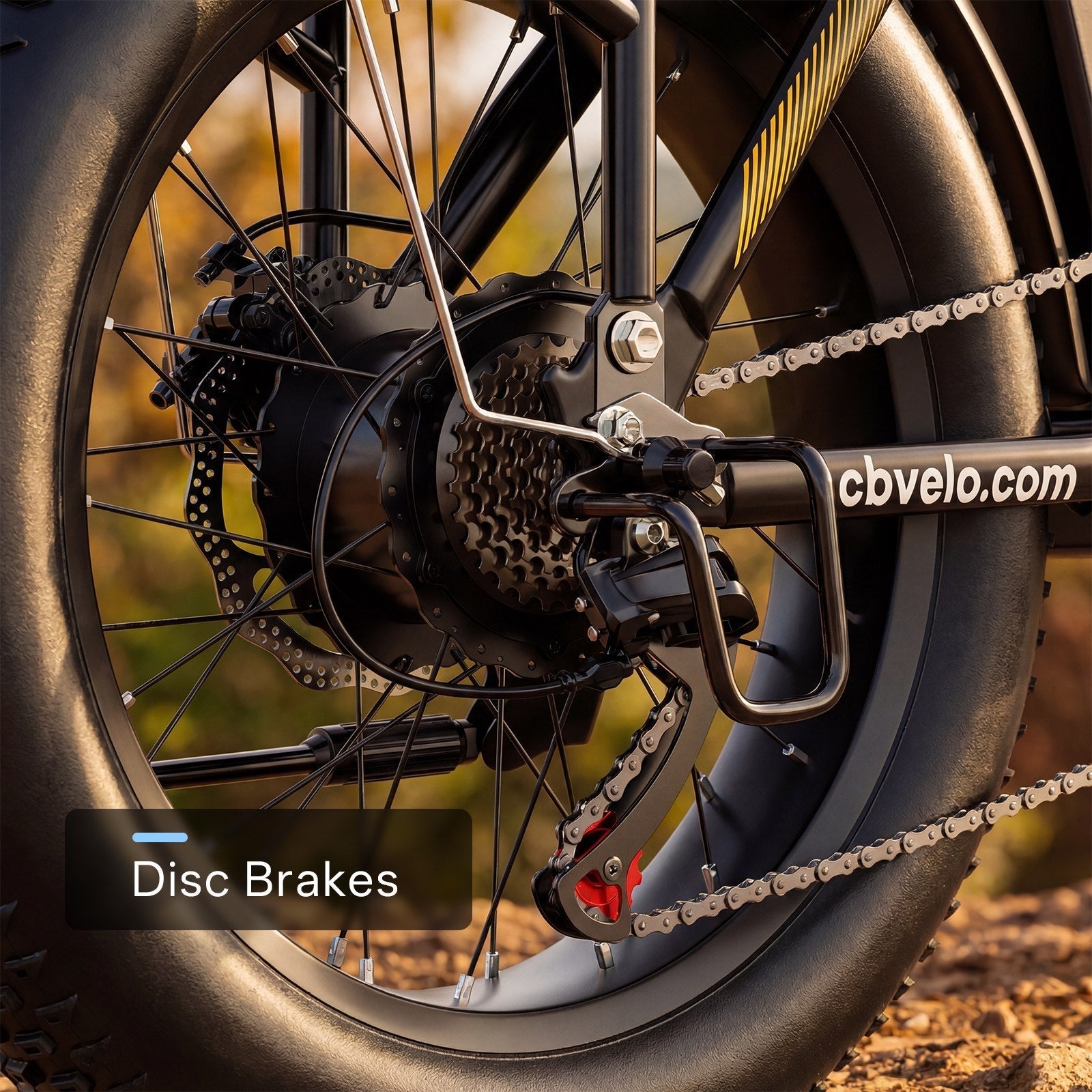 Combo Folding Ebike EK4